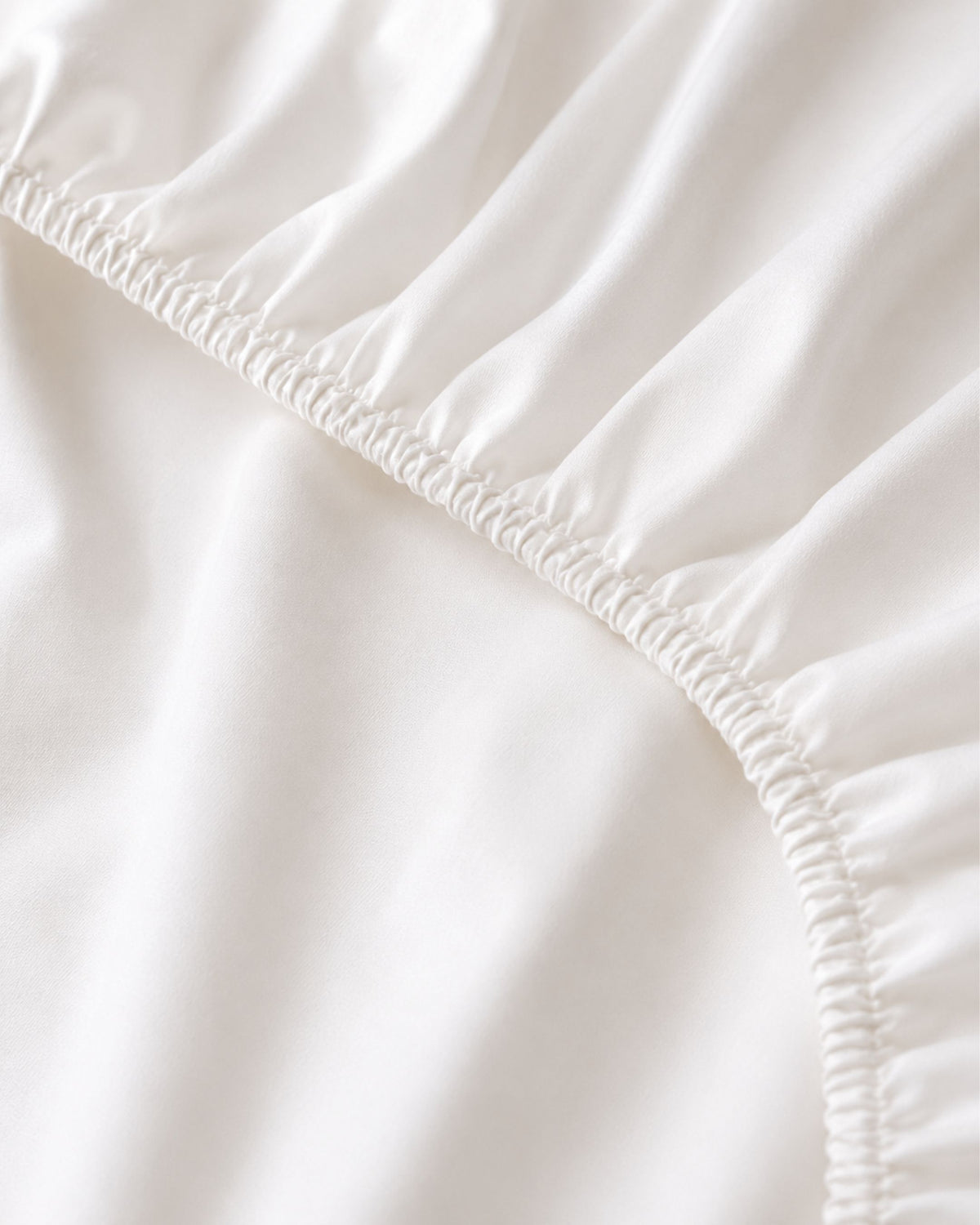 Talia White Fitted Sheet